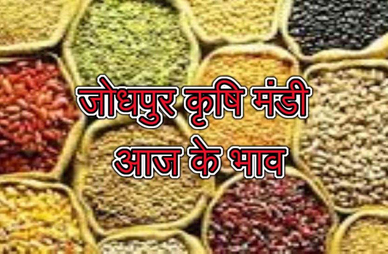 Krishi mandi bhav - सर्राफा बाजार में सोने-चांदी गिरा तो कृषि मंडी में ईसब उछला, जीरा के ये रहे भाव...