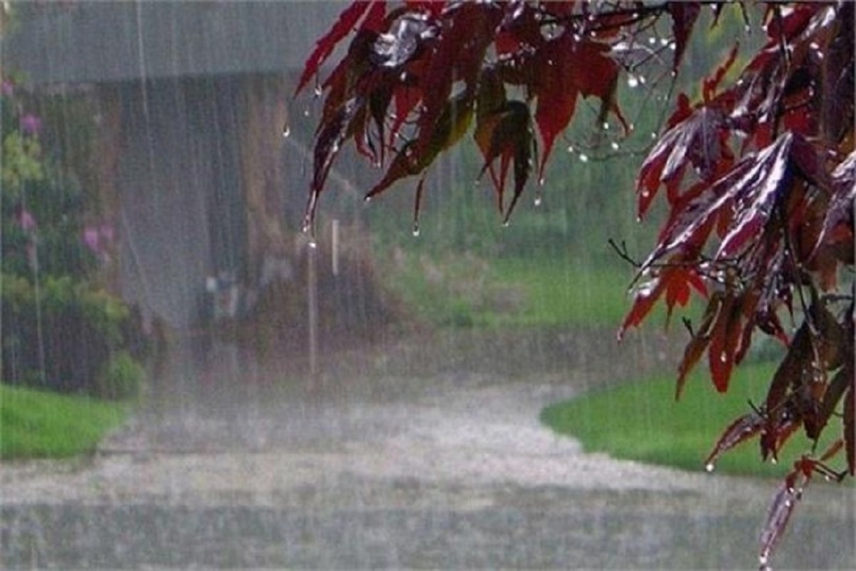 Mausam Vibhag Alert : मौसम विभाग का इस दिन से झमाझम बारिश का अलर्ट, जानें जुलाई माह में कितने दिन होगी बारिश