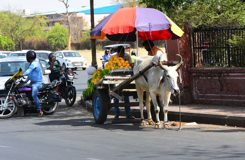 Mousam: आंधी-बरसात से लुढ़का पारा, आज से फिर बढ़ेगी गर्मी