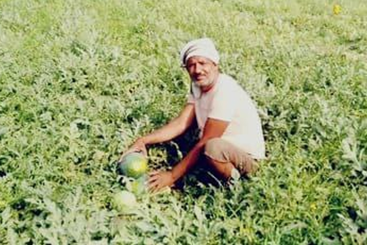 धान-गेहूं की खेती से तौबा, तरबूज-खरबूज की खेती से जमकर मुनाफा कमा रहे किसान