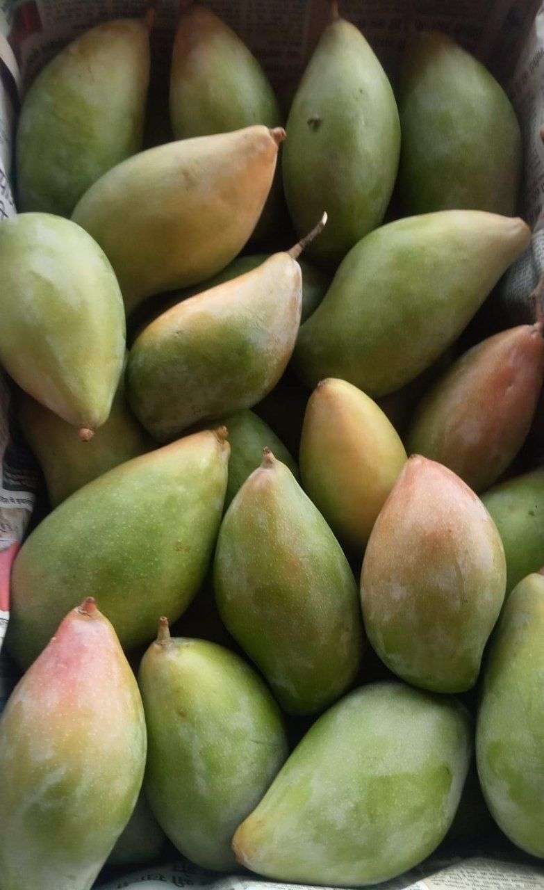 बाजार में रसीले तरबूज और खरबूज की बहार
