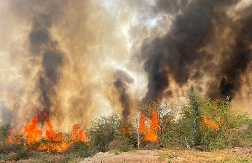 Gujarat Forest Fire : मंदिर के समीप पहाड़ पर आग लगने से अफरा-तफरी मची