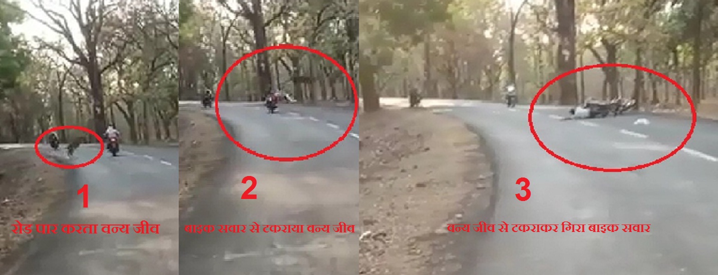 खतरा : नजर हटी, दुर्घटना घटी, सावधानी ही सुरक्षा