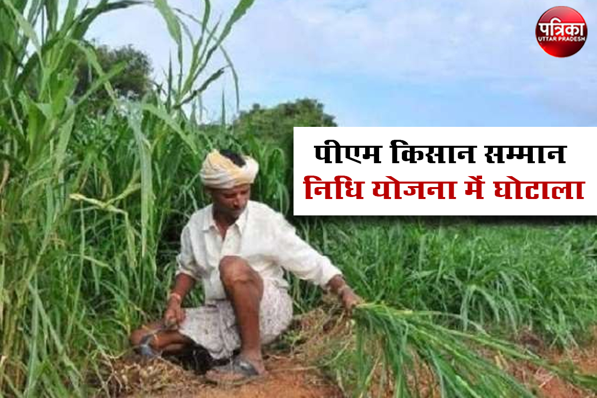पीएम किसान सम्मान निधि योजना में कथित किसानों ने किया बड़ा घोटाला करीब तीन लाख अपात्र पाए गए, अब 6 अरब रुपए वसूलेगी सरकार