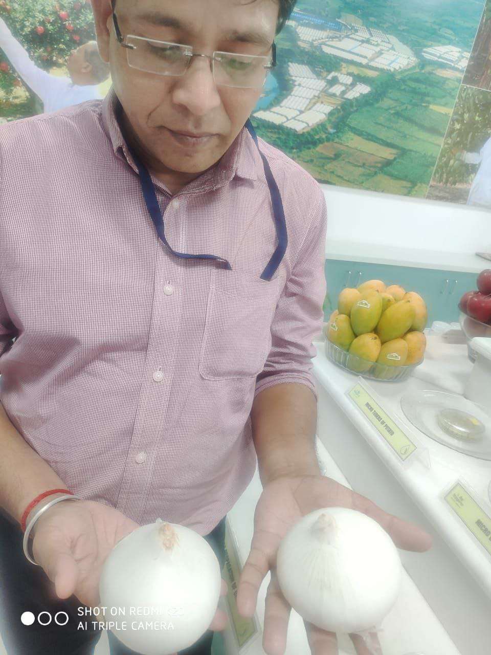 Farmers will prepare onion powder in MP