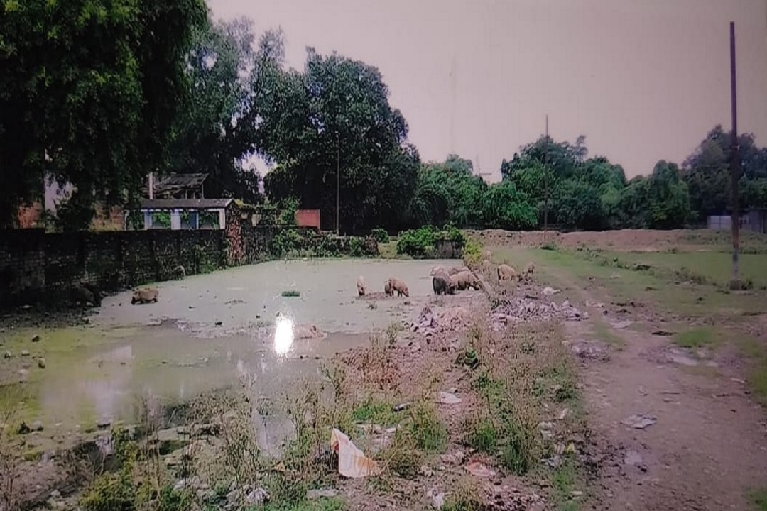 आखिर कब भू माफिया के अवैध कब्जे से मुक्त होगा वाराणसी का ऐतिहासिक शिवपुर तालाब