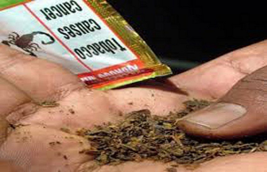 Tobacco Addiction News in India from Ahmedabad 38 फीसदी पुरुष व 9 फीसदी महिलाओं को तम्बाकू की लत