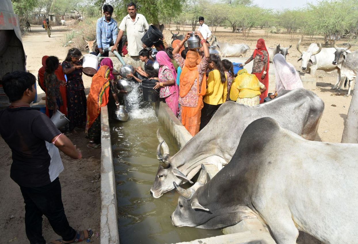 Drinking Water Crisis: पेयजल संकट रहने से पानी का टैंकर देखते ही उमड़ते है पशु और ग्रामीण
