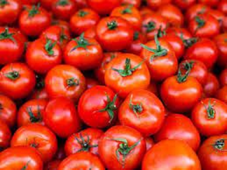 Tomato prices touch Rs 100