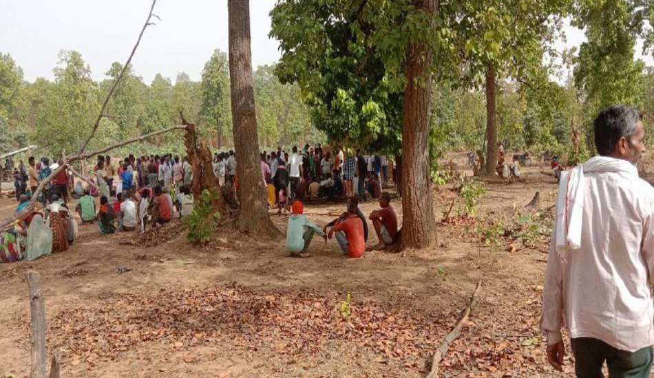 Elephants killed father-daughter