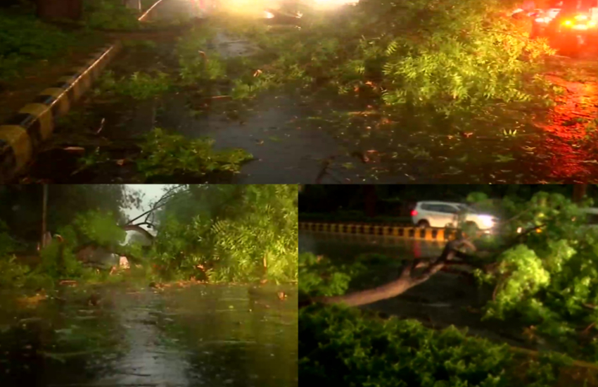 दिल्ली-NCR में सुबह-सुबह खतरनाक आंधी के साथ बारिश, कई जगह उखड़े पेड़, फ्लाइट्स प्रभावित