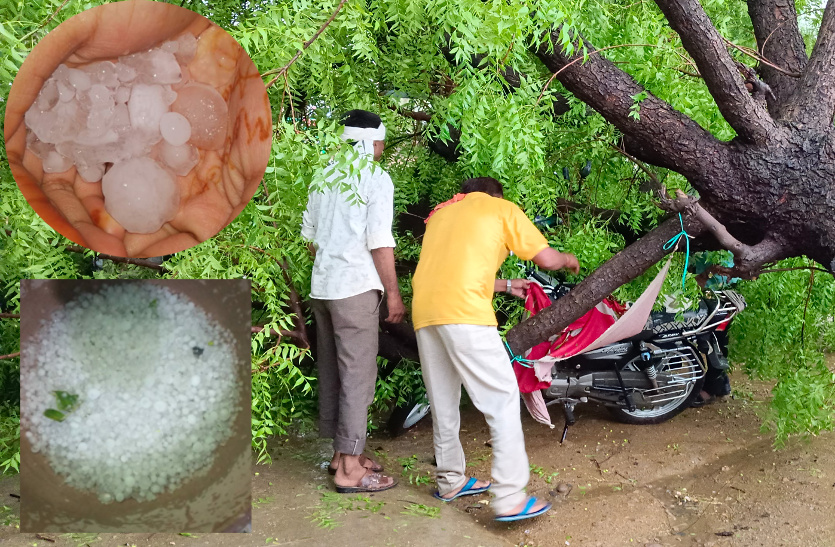 राजस्थान में बदला मौसम का मिजाज, कई जिलों में बारिश और ओलावृष्टि, देखें वीडियो