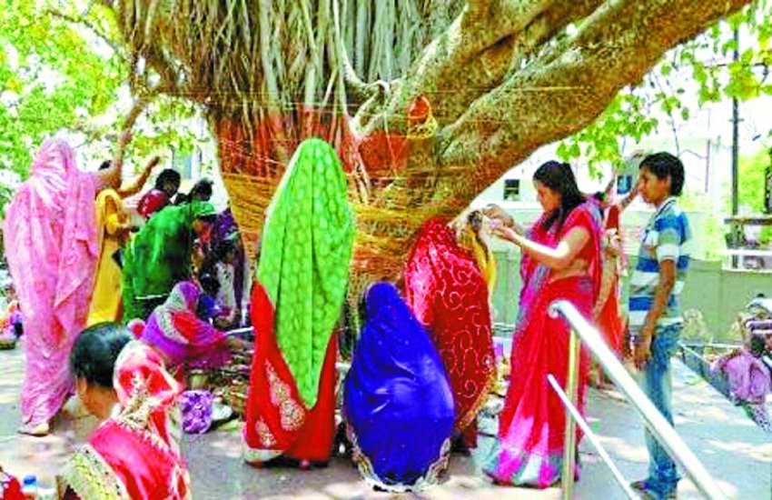 बरगद में वास करते हैं तीनों लोकों के देवता, परिक्रमा कर पूजेंगी सुहागिनें