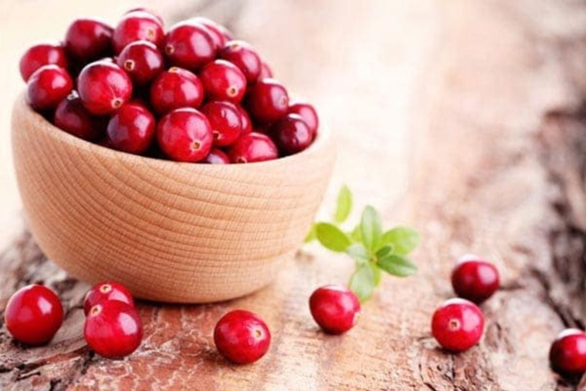 Cranberry For Health: क्रैनबेरी इन 8 गंभीर बीमारियों की है दवा, जानिए कोलेस्ट्रॉल से लेकर हाई बीपी तक में इसके फायदे