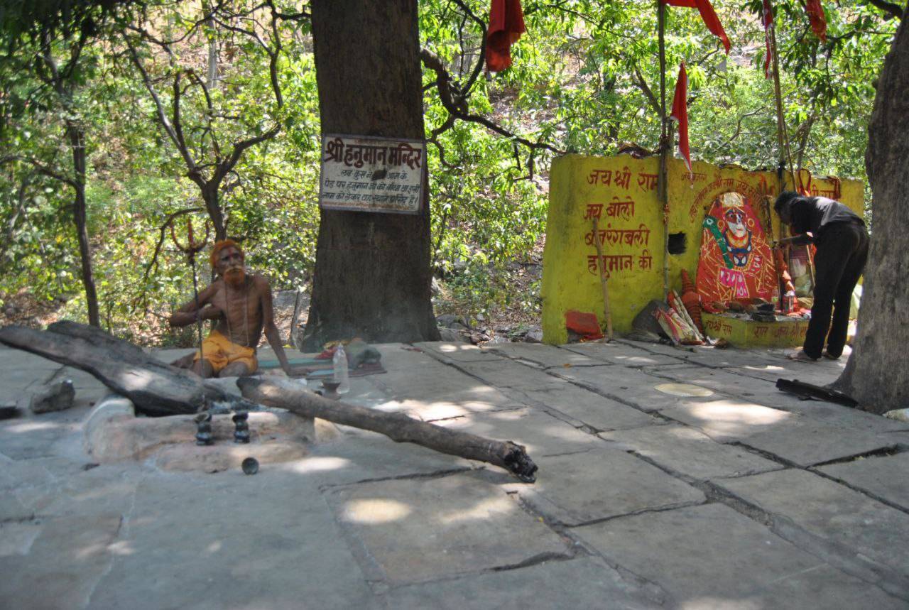 Sitamata Sanctuary needs national recognition सीतामाता अभयारण्य को राष्ट्रीय स्तर पर पहचान की दरकार