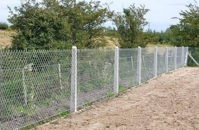  Barbed wire will help farmers get rid of stray animals, government is giving grant