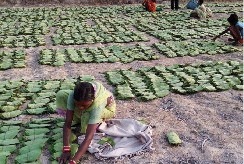 सुरक्षा के साए में होगा तेंदुपत्ता का परिवहन