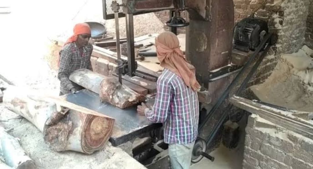 जिले में अवैध तरीके से चल रहे दर्जनों आरा मिल