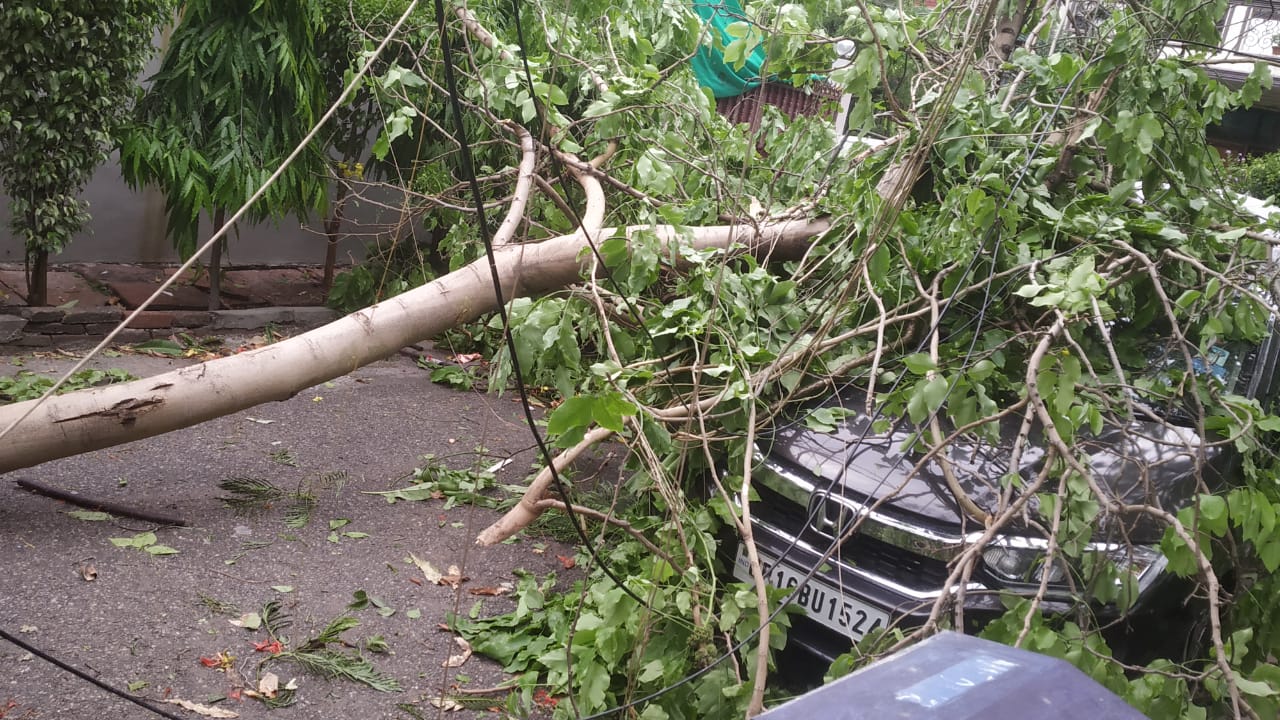 Noida: तेज हवाओं के साथ आए आंधी-तूफान ने हर तरफ मचाई भीषण तबाही, सैकड़ों पेड़ गिरने से लगा ट्रैफिक जाम