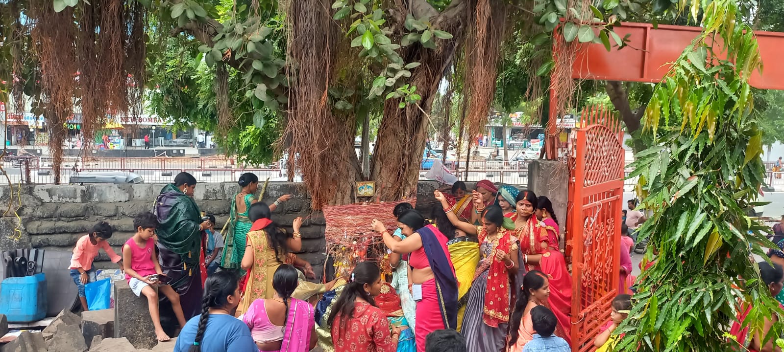 SURAT NEWS: मनाया वटसावित्री पर्व, बरगद की पूजा
