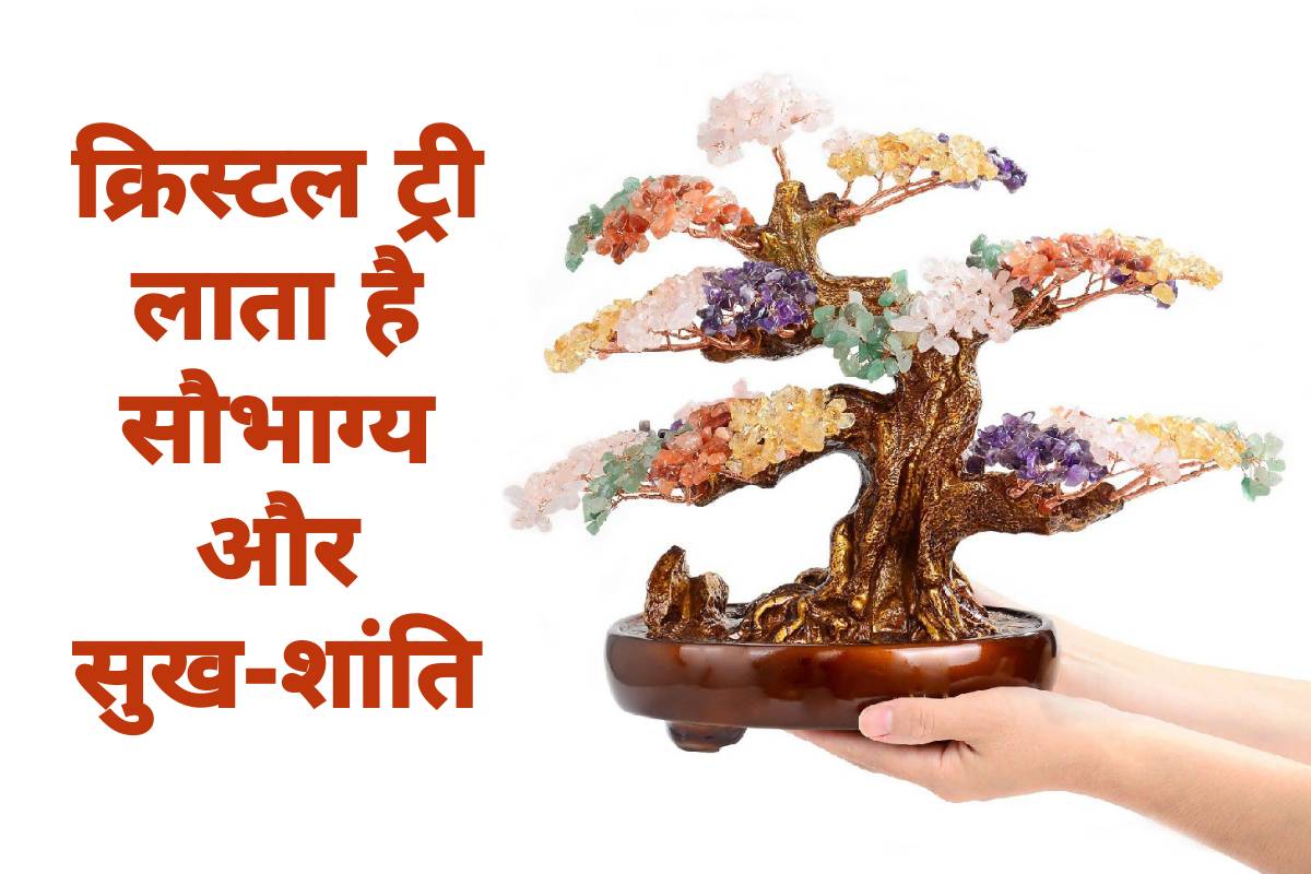 feng shui tips for home, crystal tree feng shui, crystal tree benefits, crystal tree direction, feng shui tips for health, feng shui tips for office prosperity, northeast corner of the house, feng shui vastu shastra in hindi, feng shui tips for study room, feng shui tips for married couples, क्रिस्टल ट्री बेनिफिट्स, 