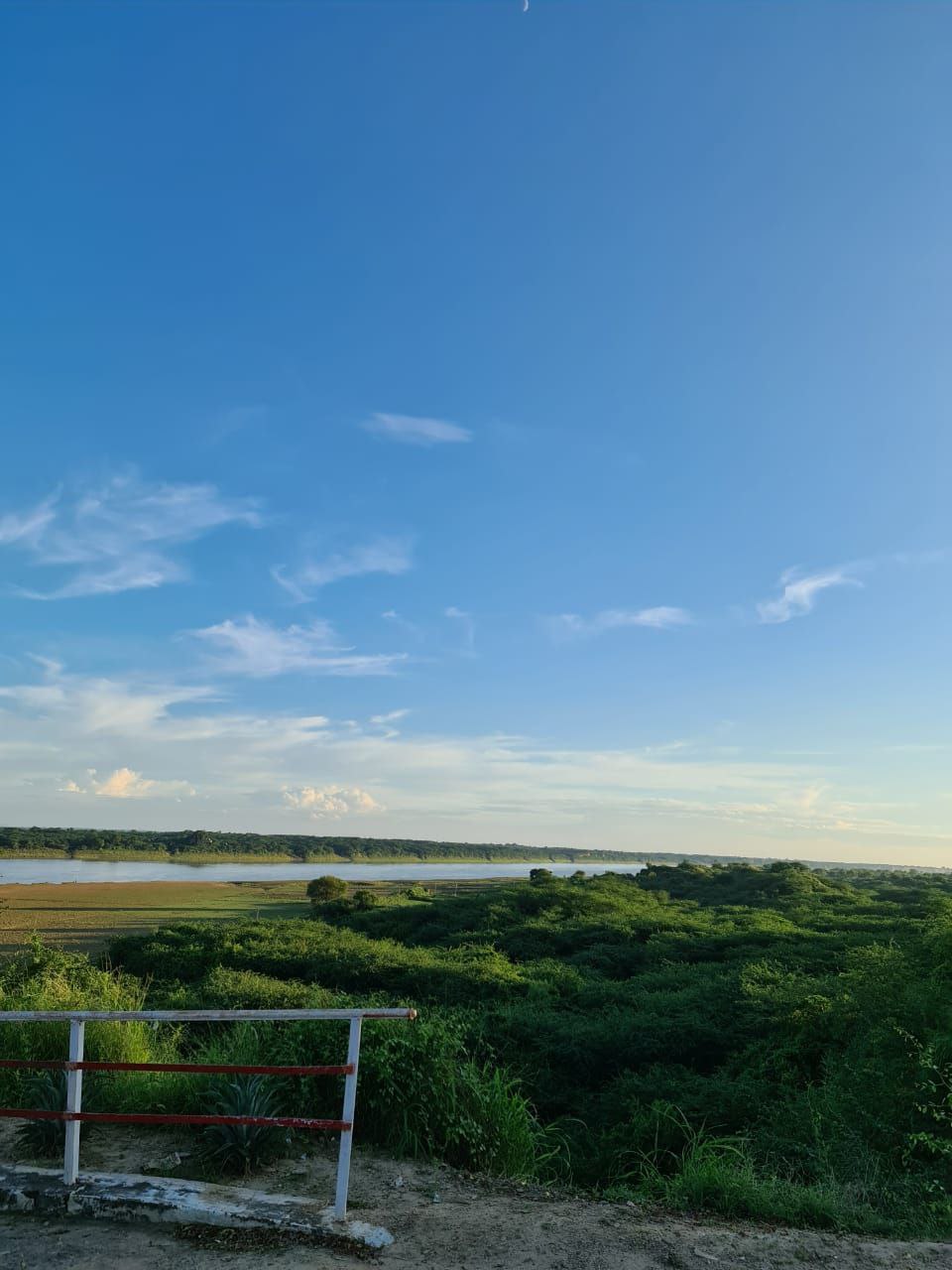 Etawah Chambal Ghati Natural Beauty on World Environment Day 2022