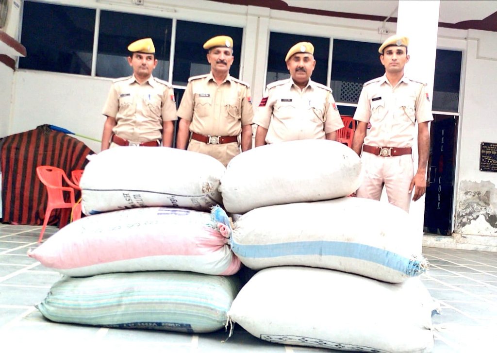 Nagaur police caught huge amount of doda-poppy