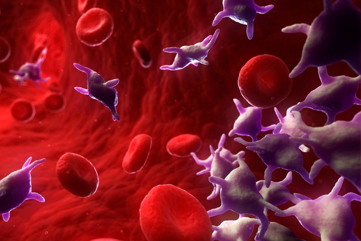 Signs of low platelets in blood: शरीर में 6 लक्षण दिखने लगें तो समझ लें खून में तेजी से कम हो रहा प्लेटलेट्स