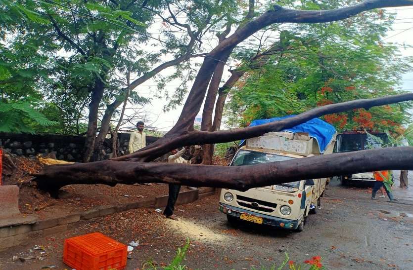 मुंबई में मानसून की दस्तक, पुणे-नासिक में दर्जनों पेड़ उखड़े