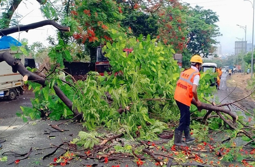 मुंबई में मानसून की दस्तक, पुणे-नासिक में दर्जनों पेड़ उखड़े