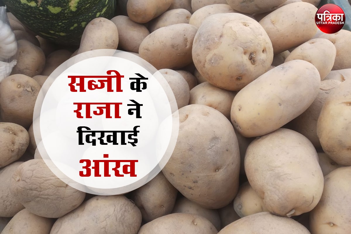 vegetable market potato price : गर्मी में सब्जी के राजा आलू के तेवर तेज, हफ्ते भर में दो गुना हुए दाम
