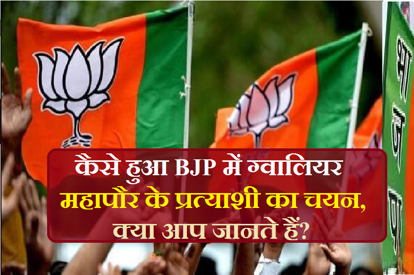 gwalior_mayour_slection_in_bjp.png