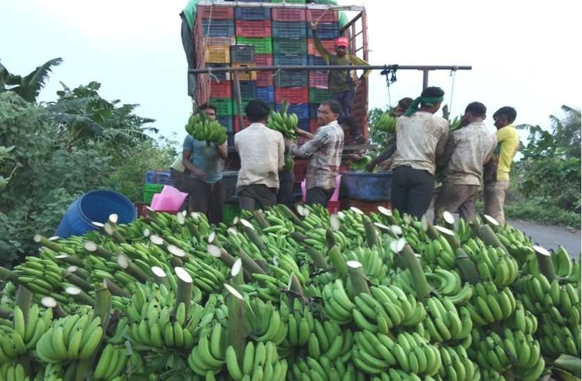 banana1.jpg
