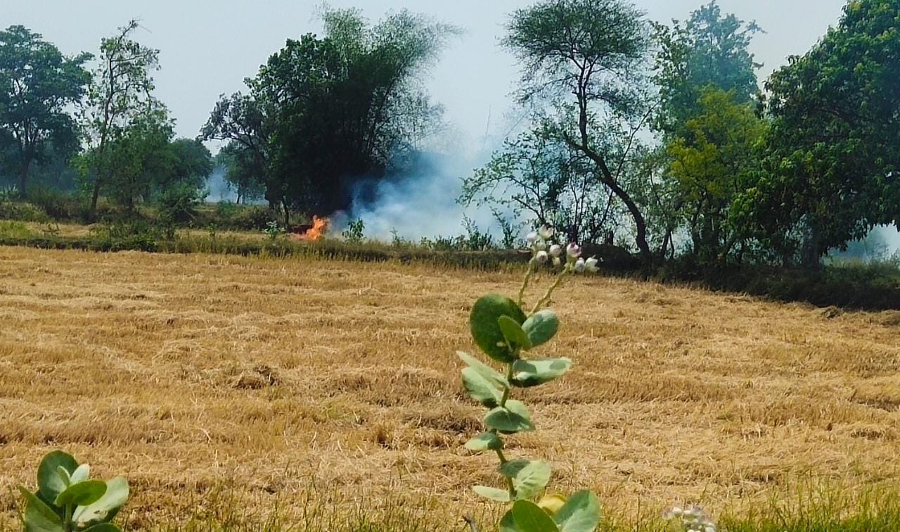 प्रतिबंध के बाद किसान जला रहे पराली, रोक नहीं पा रही टीम