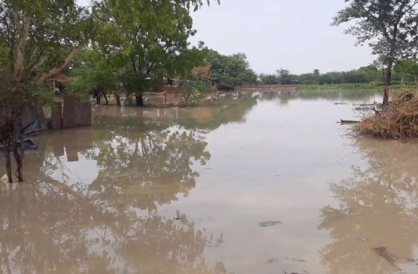 राजस्थान में जमकर बरसे मेघ, सात जिलों में भारी बारिश की संभावना, देखें तस्वीरें