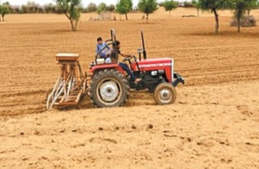 Bajra crop sowing in rajasthan