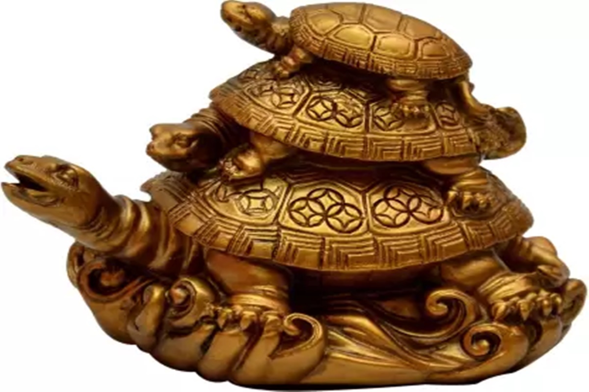 Vastu Tips, Vastu Tips For Tortoise, Feng Shui for tortoise, benefits of tortoise in home, vastu shastra, Feng Shui,