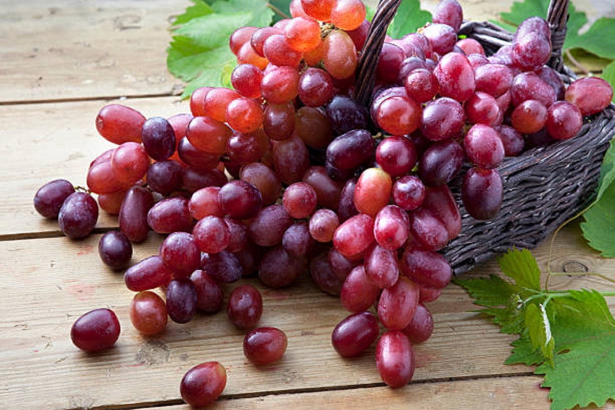 Red Grapes Benefits: हरा, काला ही नही लाल अंगूर के भी है कमाल के फायदे, ब्लड प्रेशर के खतरे को कम करने में करता है मदद