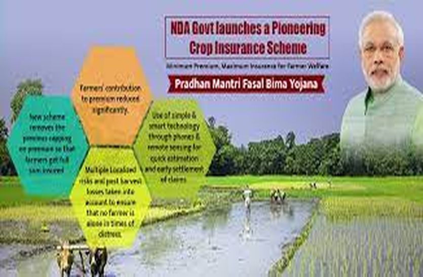 Farmers will be able to get nomination of Prime Minister's Fasal Insurance Scheme at CSC centers