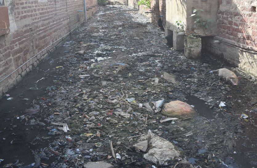 बिगड़ी शहर में सफाई की रीढ़, मुख्य नाले की बदहाल तस्वीर