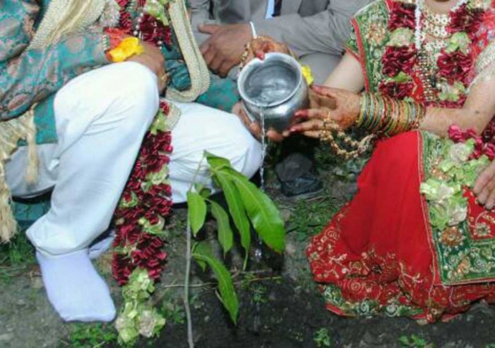 Environment protection: शादी में मेहमानों को बांटे पौधे-कपड़े के थैले, कहीं भी नहीं किया प्लास्टिक का यूज