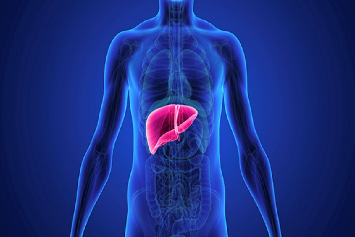 Liver Health: केवल अल्कोहल ही नहीं ये फूड्स भी लिवर को पहुंचाते हैं नुकसान, खाने से पहले जानें इनके के बारे में