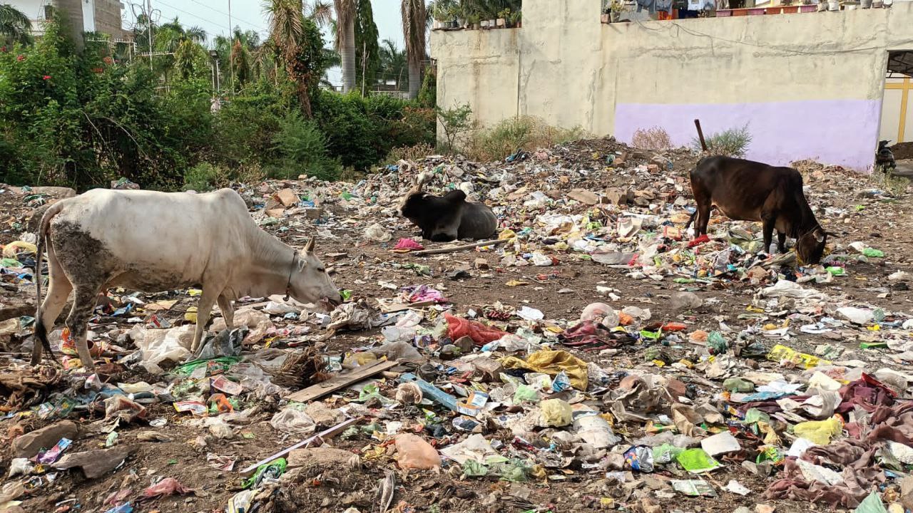 हर दिन 1 हजार किलो polythene waste निकलता शहर में