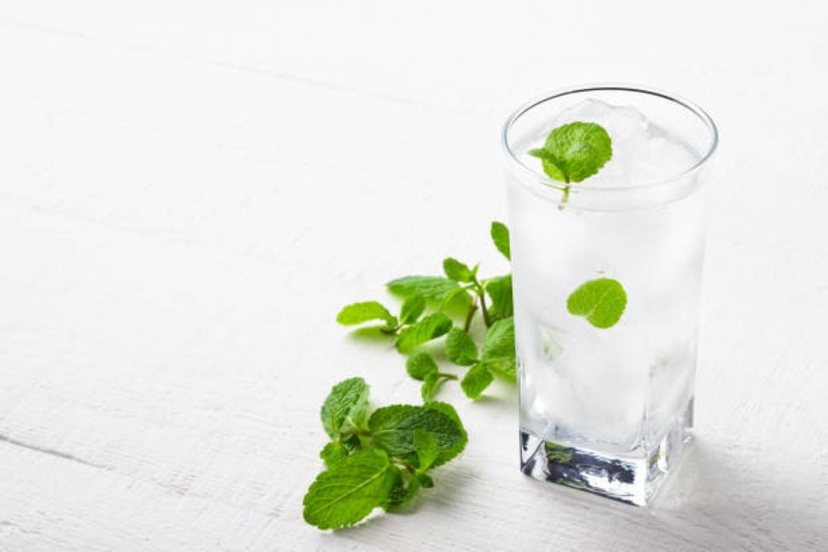 Mint Water Benefits: सेहत और स्किन से जुड़ी समस्याओं को दूर करने में फायदेमंद होता है पुदीने का पानी, गर्मियों में रोज करें इसका सेवन
