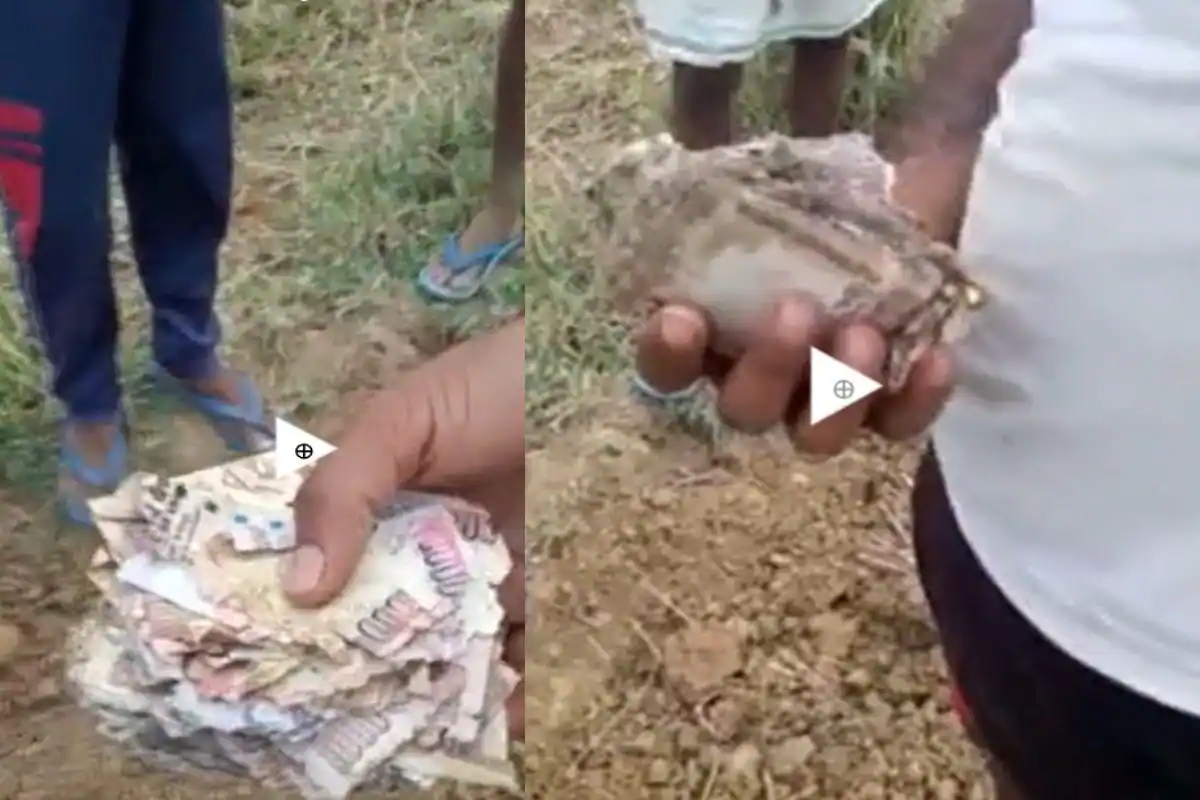 बिहारः खेत की जुताई के दौरान जमीन से निकलने लगा 500 व 1000 का नोट, लूटने के लिए लगी होड़, VIDEO
