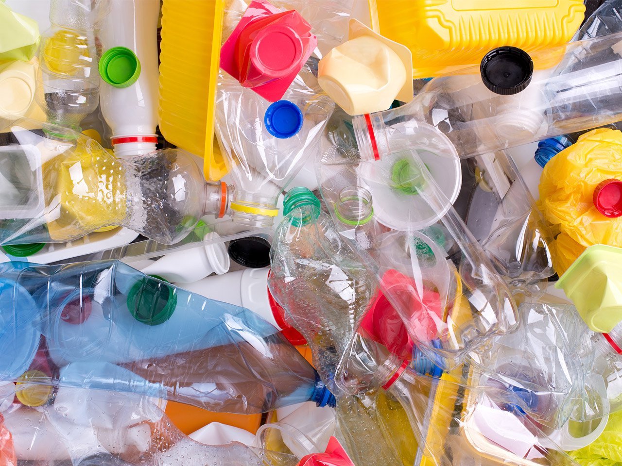 Plastic Ban: कॉलेज में नहीं चलेंगे पॉलीथिन और प्लास्टिक आइटम