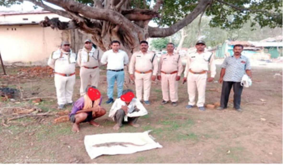 The accused was extracting oil by hunting iguanas, the forest department arrested