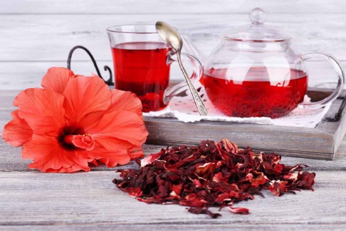 Hibiscus Tea Benefits: गुड़हल की चाय के हैं ये अद्भुत फायदे, कई बीमारियों के लिए है रामबाण
