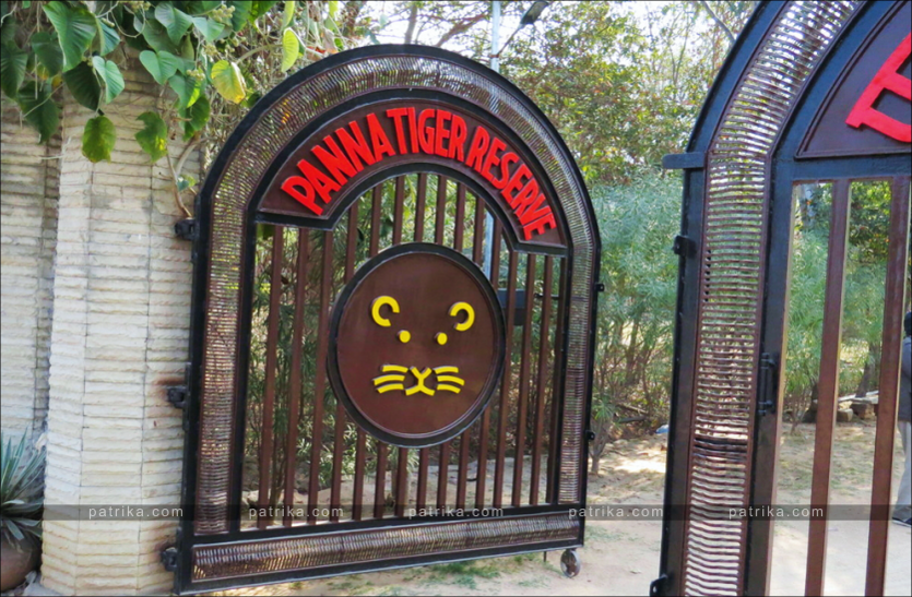  बाघों की संख्या 200 तक बढ़ाने की योजना