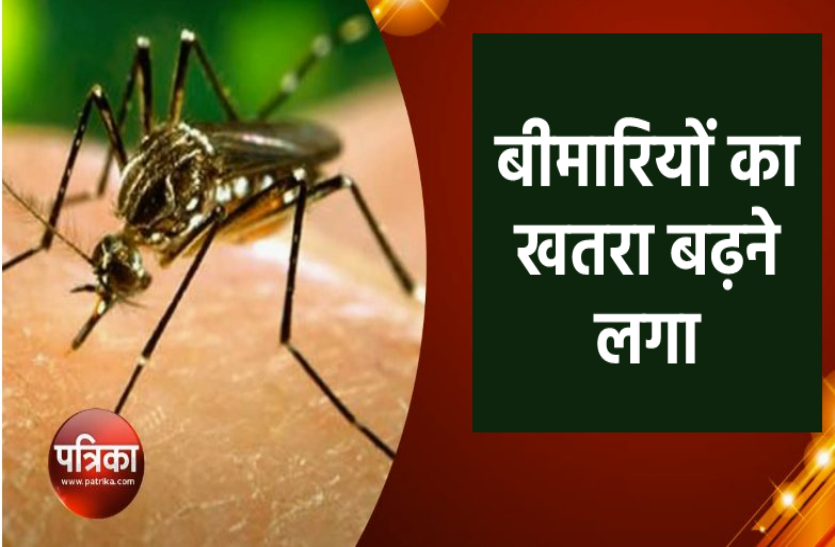 जापानी इंसेफेलाइटिस का खतरा, जानिए मच्छरों से होनेवाली बीमारियां और उनसे सेफ्टी के उपाय